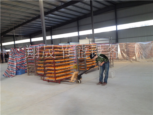 柿饼烘干机设备 柿饼烘干机设备