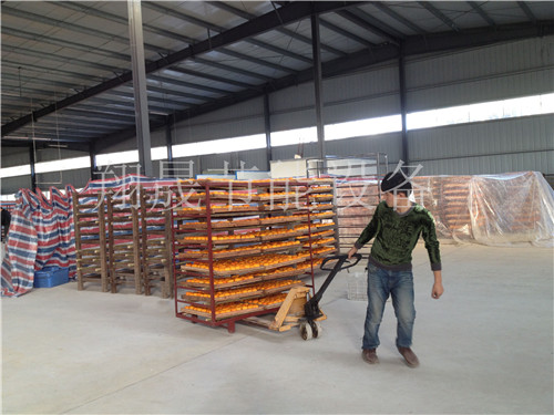 柿饼烘干机设备 柿饼烘干机设备