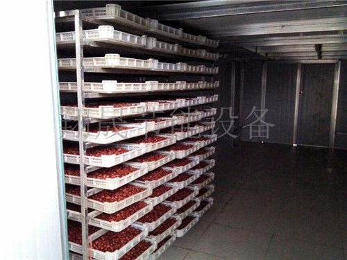 翔晟红枣烘干机设备 翔晟红枣烘干机设备