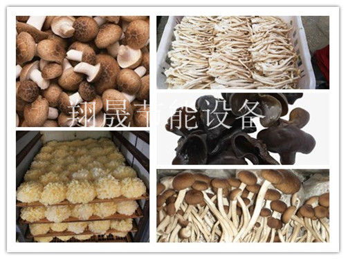 翔晟食用菌烘干机设备 翔晟食用菌烘干机设备