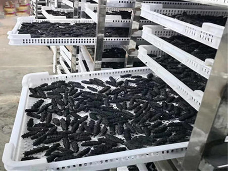 海参空气能烘干房