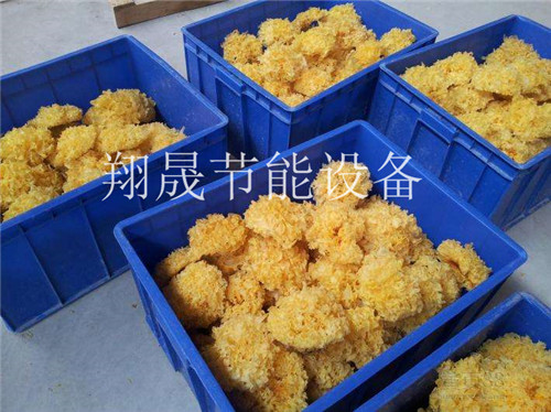 银耳烘干机